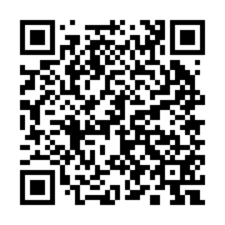 QR code for Q95251
