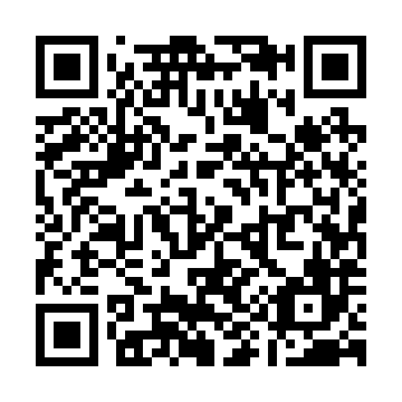 QR code for Q95286