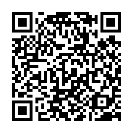 QR code for Q95699