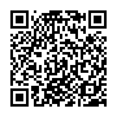 QR code for Q95811