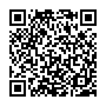 QR code for Q95993