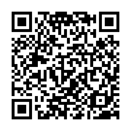 QR code for Q96291