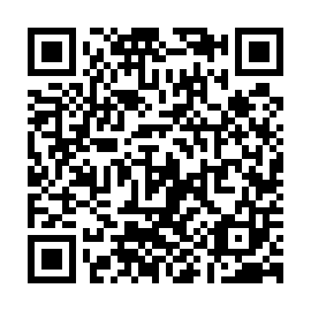 QR code for Q96503