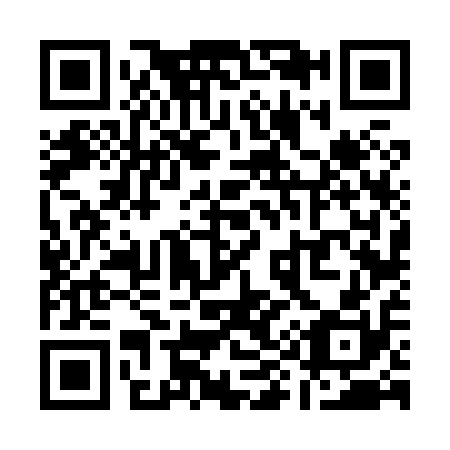 QR code for Q96810