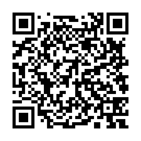 QR code for Q96838