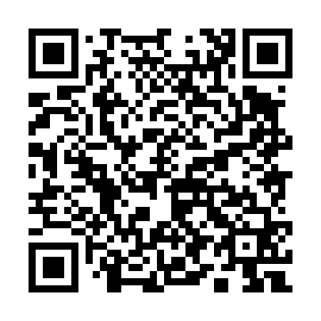 QR code for Q98460