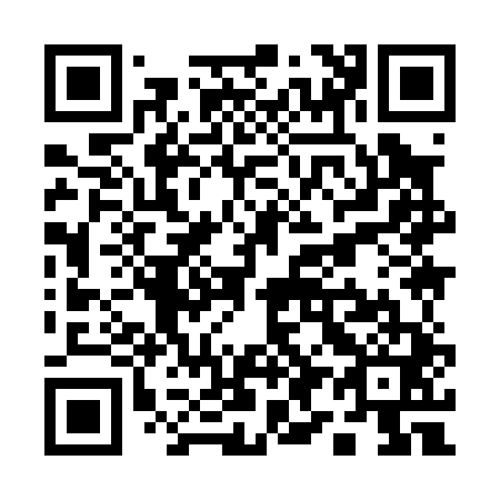 QR code for Q99041