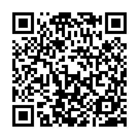 QR code for Q99065