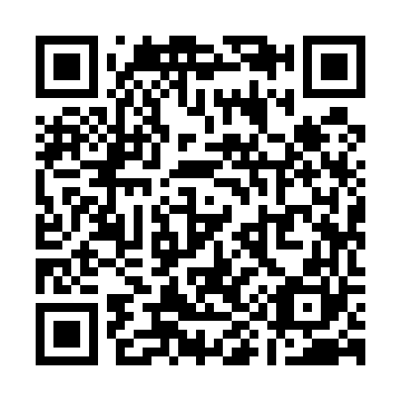 QR code for Q99560