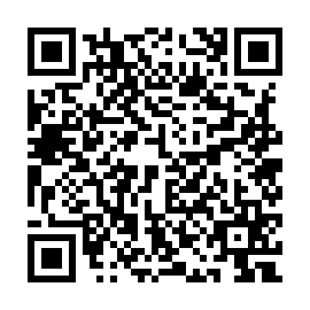 QR code for QAG-9650