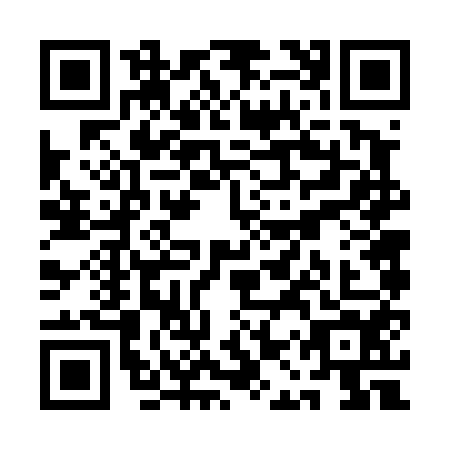 QR code for QAV-4541