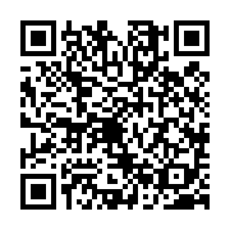 QR code for QBH4994
