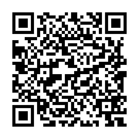 QR code for QBL9593