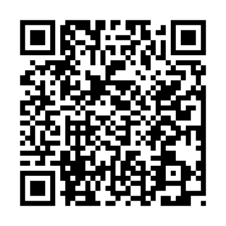 QR code for QDG-9338