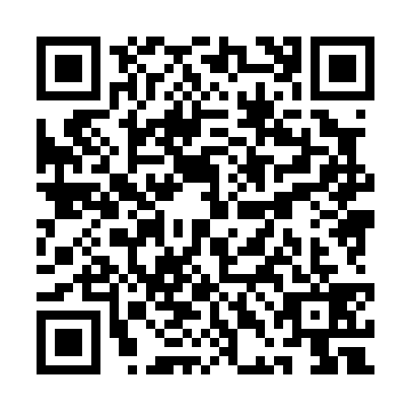 QR code for QDH0393