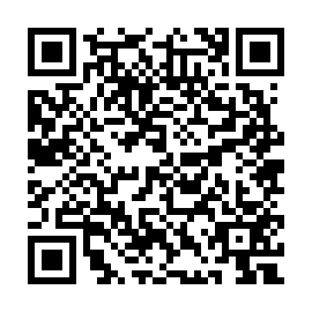 QR code for QDZ-6539