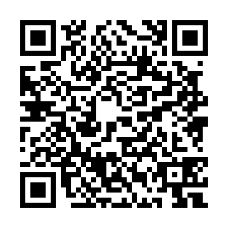 QR code for plate QEX-0389