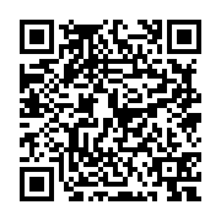 QR code for QFQ8313