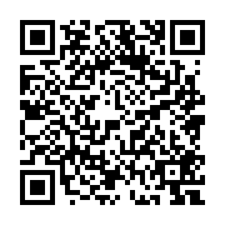 QR code for QGX3095