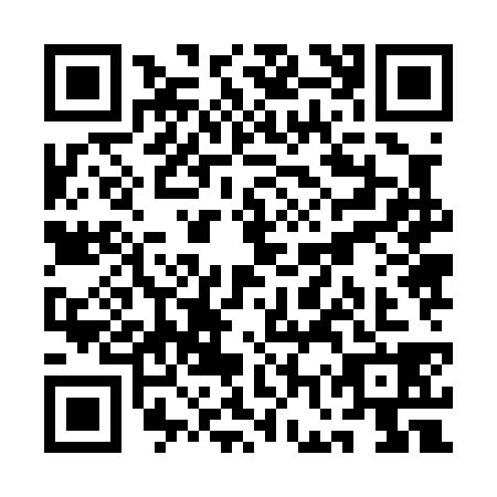 QR code for QGZ-0380
