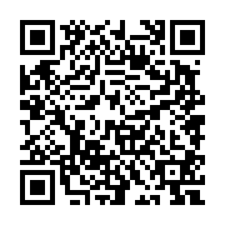 QR code for plate QHN-4007