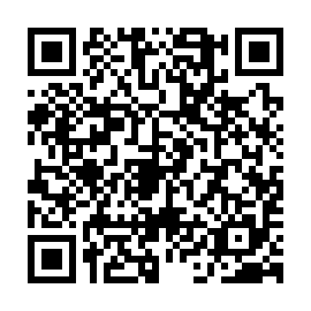 QR code for plate QIA-3953