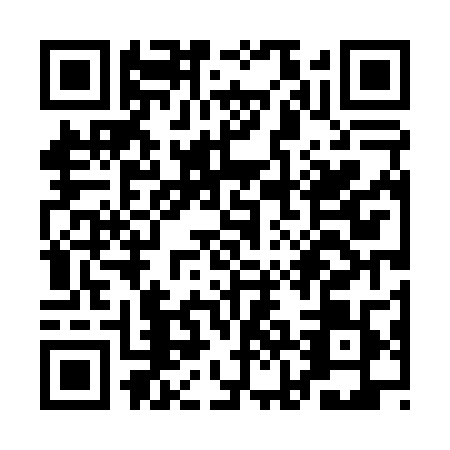 QR code for plate QJD-0091