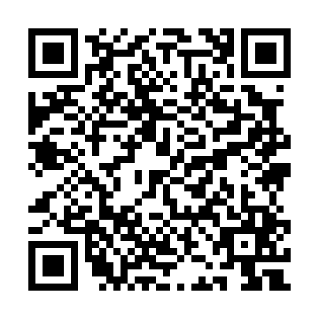 QR code for QJI0453
