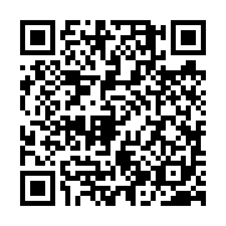 QR code for QJZ-6919