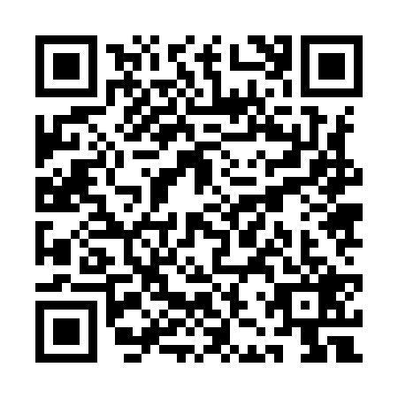 QR code for QJZ-9295