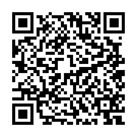 QR code for QLG-0163