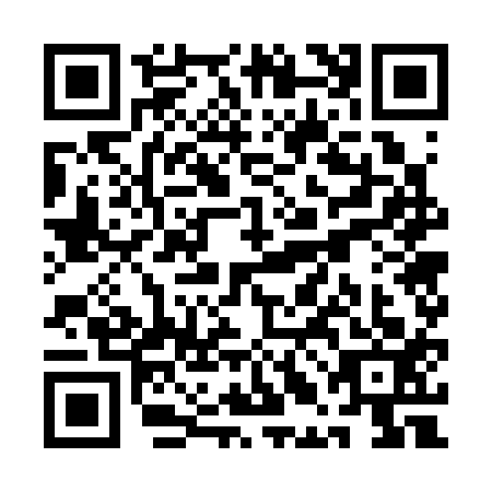 QR code for QLG3133