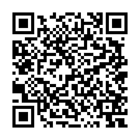 QR code for plate QQE-4033