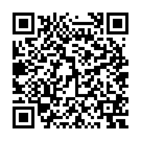 QR code for QQZ-2009