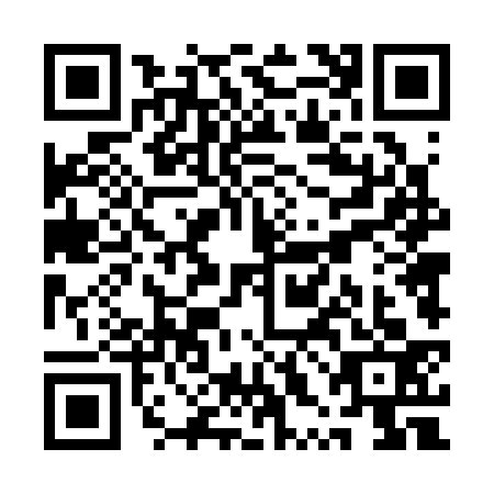 QR code for plate QXD-3336