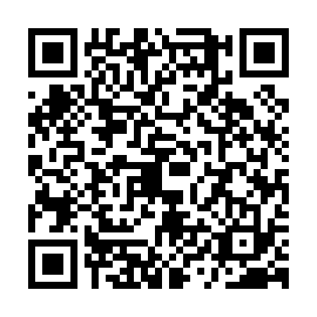 QR code for plate QYE-0336
