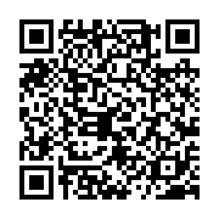 QR code for QYL2119