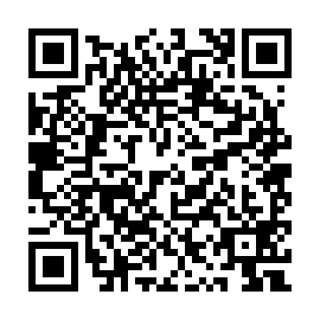 QR code for QYR-2994