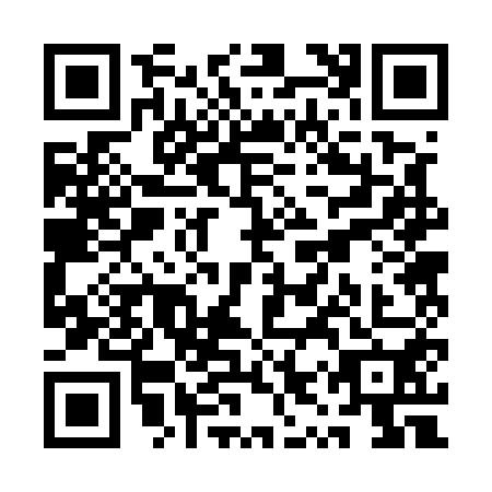 QR code for QYR-5501
