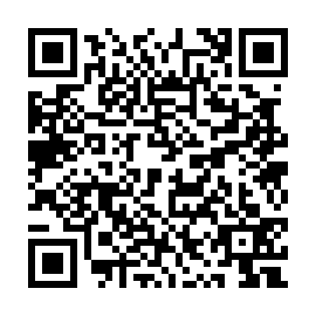 QR code for QYS-0338