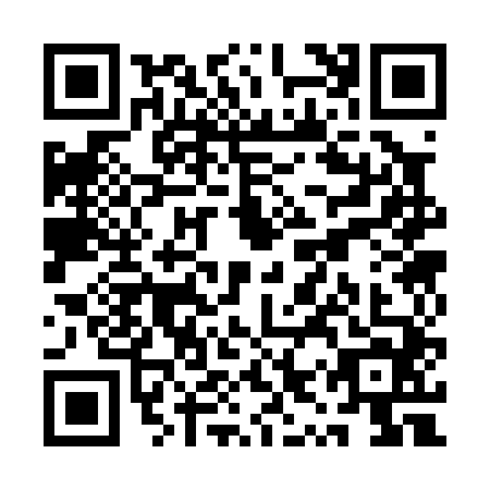 QR code for QYS-0446