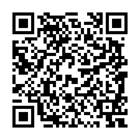 QR code for QZL-4807