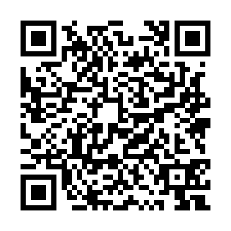 QR code for QZM-1305