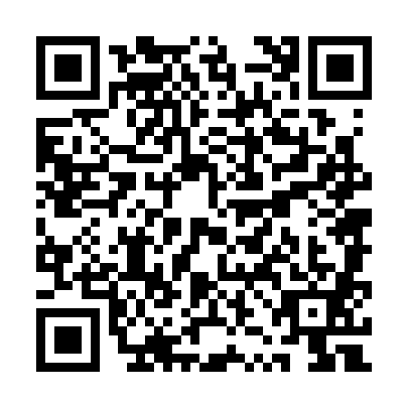 QR code for QZN-3811