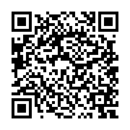 QR code for QZR-0441
