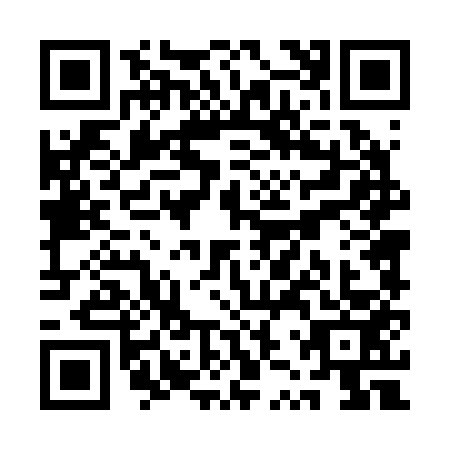 QR code for QZT-2539