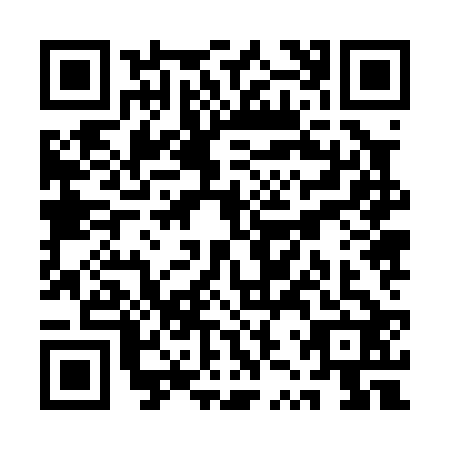 QR code for QZZ-0226