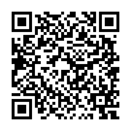 QR code for QZZ-4977
