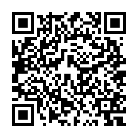 QR code for QZZ-6017
