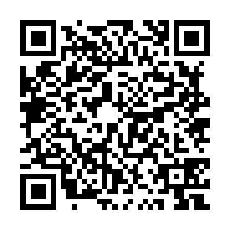 QR code for QZZ-8383